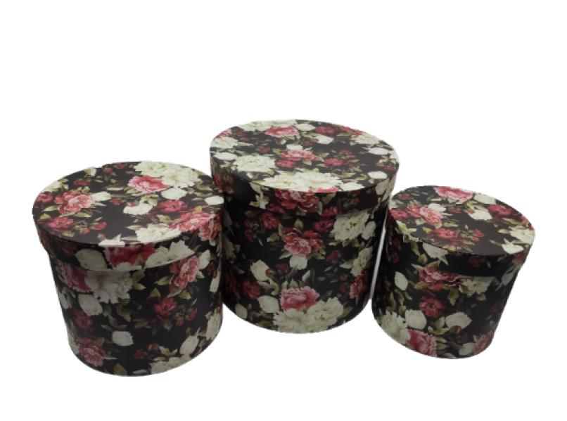 44101 SET 2 CUTII HEX