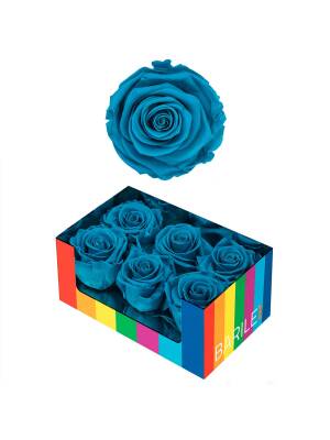 TRANDAFIR BLUE CARIBE