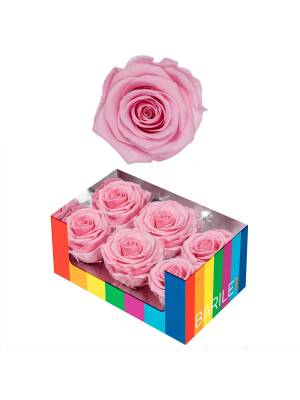 TRANDAFIR BRIDAL PINK