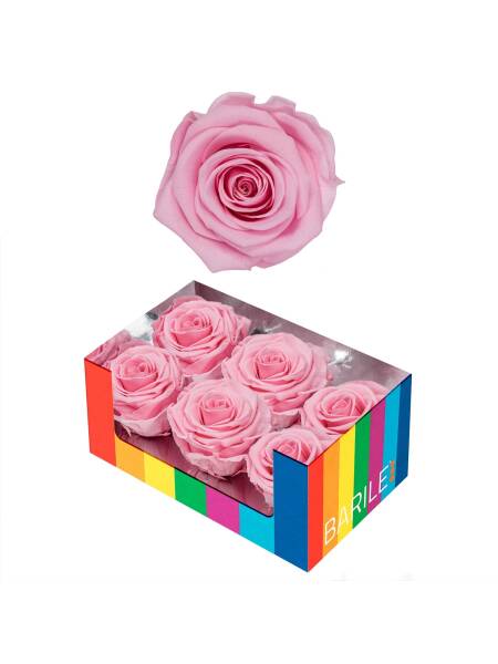 TRANDAFIR BRIDAL PINK