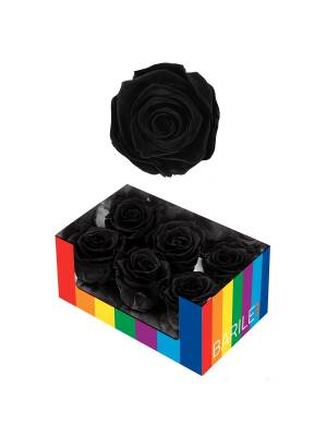 TRANDAFIR DEEP BLACK