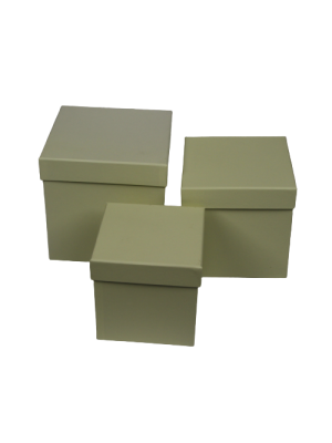 SET 3 CUTII PATRAT VANILIA