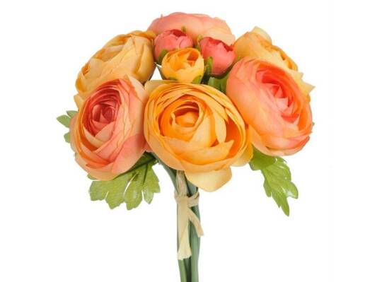 HGN106041 RANUNCULUSX8