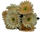 CAP FLOARE ARTIFICIALA