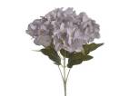 115814 BUCHET HORTENSIA