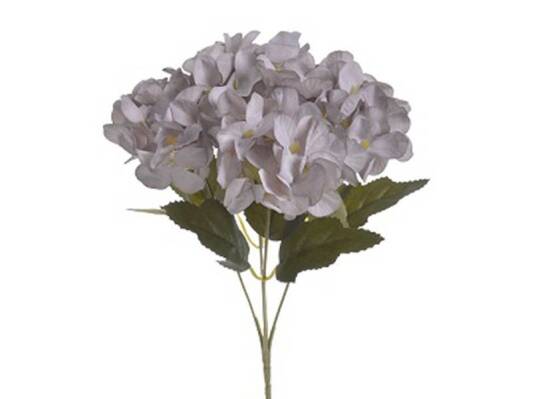 115814 BUCHET HORTENSIA