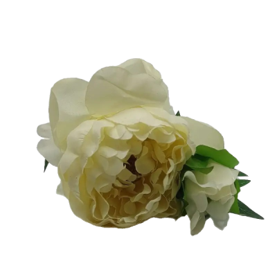 DHE116774 FIR PAEONIA MS