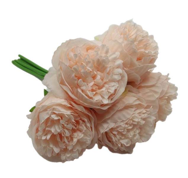 122768 BUCHET PAEONIA 5 FIRE