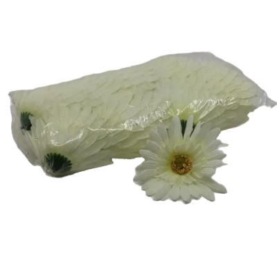 198756 SET 24 CAP GERBERA