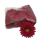198756 SET 24 CAP GERBERA