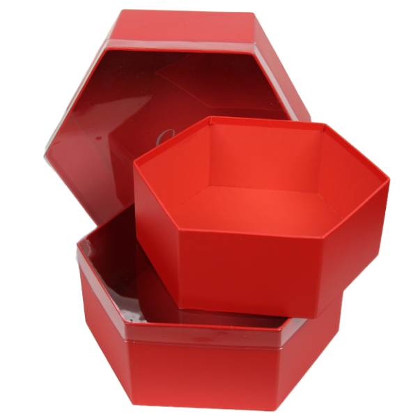 ROC 5920 SET 3 CUTII CAPAC TRANSP. HEXAGON