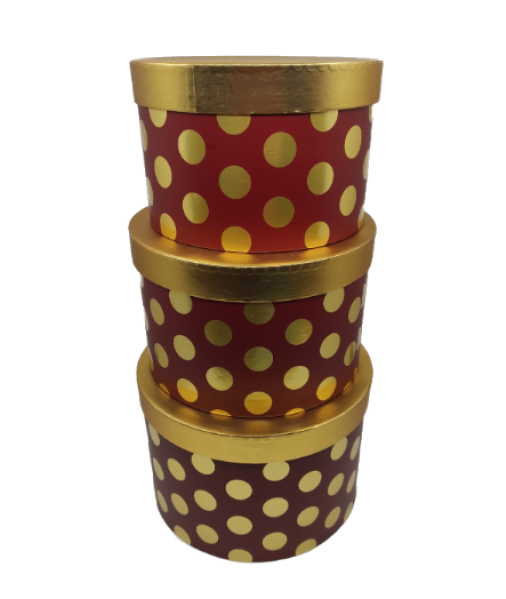 BURETE CRUCE BIOLINE 40X24 5X5 5CM